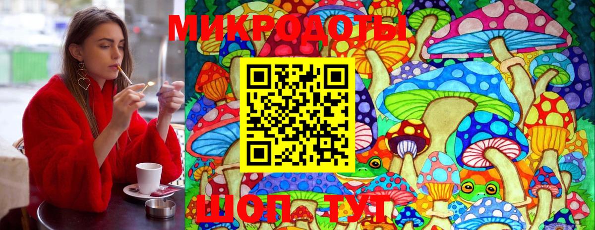 Псилоцибиновые грибы мицелий Ростов-на-Дону